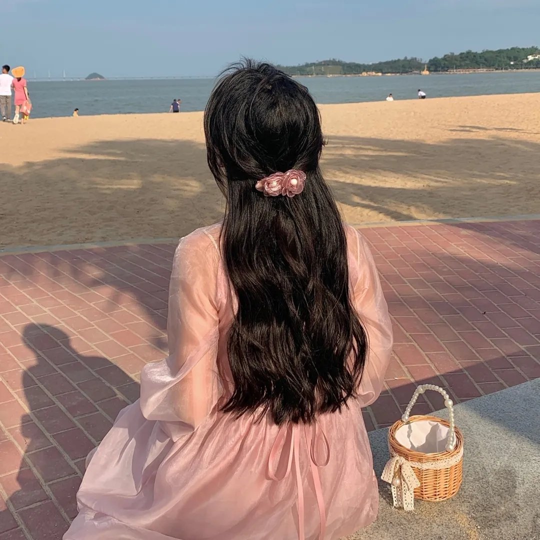安妮日记：始末